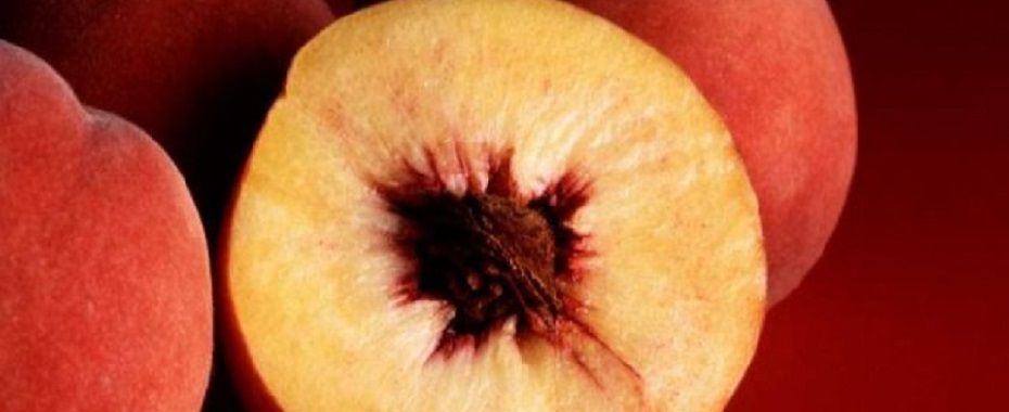 Türkiye'nin Rize Çayı İle Birlikte 10 Lezzeti AB Yolunda