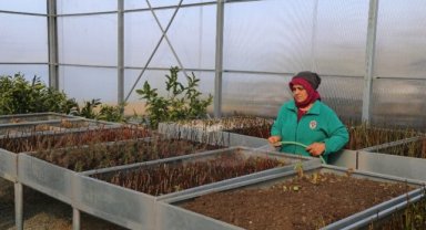 Rize'nin Serasında Fidan ve Bitki Satışları Sürüyor