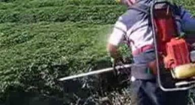 ÇAYKUR Uzatıyor, Üretici Temsilcisi Erteleyin Yada...