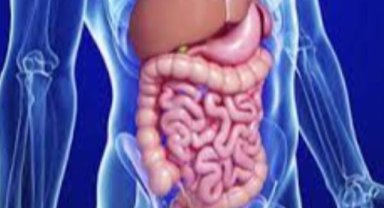 Gastroenterolojide Belirtiler Hafife Alınmamalı