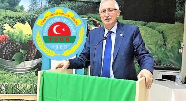 Pazar Ziraat Odası Yerel Tohum Dağıtacak