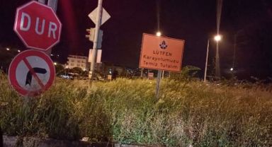 Pazar Kirazlık Mahallesi Orta Refüjdeki Otlar...