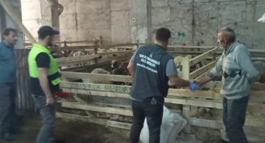 Rize'de Kurban Yerlerinde Dezenfeksiyon