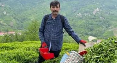 Bazı Özel Çay İşletmeleri Yine İstismar Peşinde