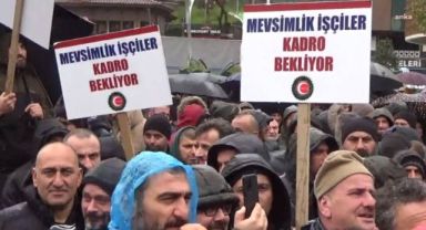 Kampanyada Sona Geliniyor; ÇAYKUR İşçilerinin Çalışma Süreleri Uzayacak mı?