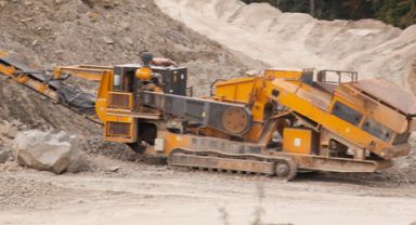 Karaca, Kayalık Alandan Düşerek Hayatını Kaybetti