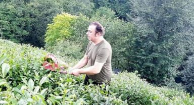 Muhittin BAYRAK: “Taban Yaş Çay Fiyatı Asgari 25 TL Olmalıdır.”