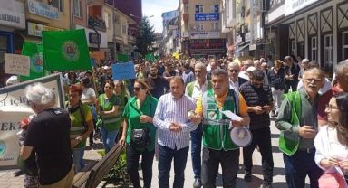 Rize Fındıklı'da 'Büyük Çay Yürüyüşü'