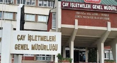 Organik Çay Teşvik Bedeli Ödemeleri Dekar Başı Yapılacak