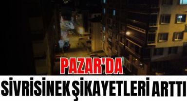 Pazar'da Sivrisinek Şikayetleri Arttı