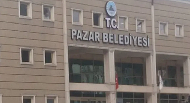 Rize Pazar Belediyesi'nden Sokak Köpekleri Açıklaması