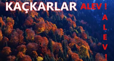 Kaçkarlar Alev ! Alev !