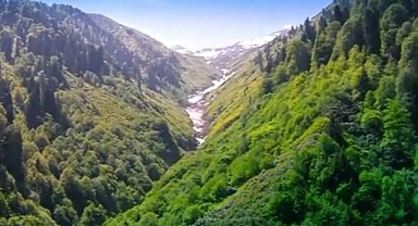 Yeni Yılınız Kutlu Olsun