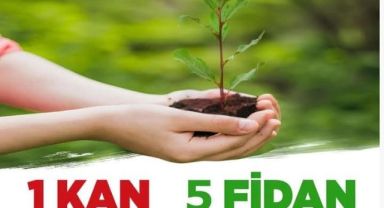 Rize-Fındıklı’da “Bir Kan, Beş Fidan” Etkinliği