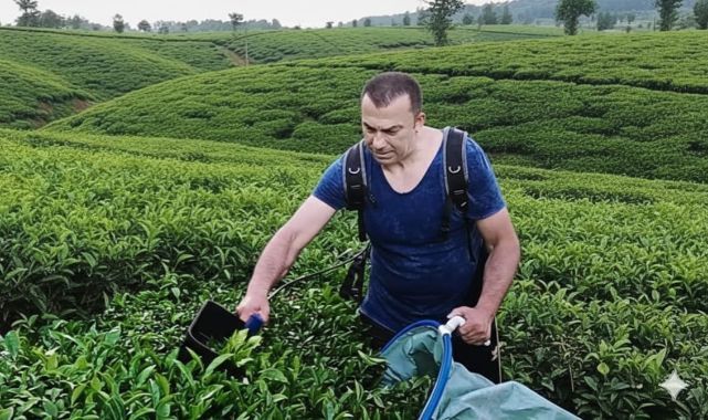 Muhittin BAYRAK: Yaş Çay Taban Fiyatı En Az 50 TL Olmalıdır! 