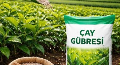 Zafer Partisi Rize İl Başkanlığı’nın Çaykur Mevsimlik İşçi Alımları ve Yaş Çay Taban Fiyat Beklentisi 