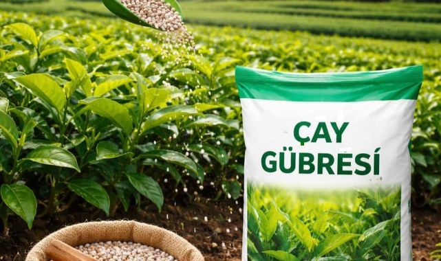 Zafer Partisi Rize İl Başkanlığı’nın Çaykur Mevsimlik İşçi Alımları ve Yaş Çay Taban Fiyat Beklentisi 