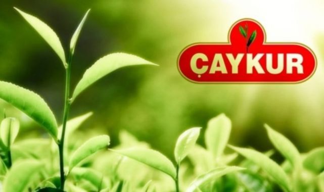2026 Yılı Yaş Çay Alım Fiyatı 35 TL Olarak Açıklandı