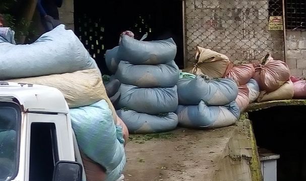 ÇAYKUR Yaş Çay Alımlarına Bir Gün Ara Verdi