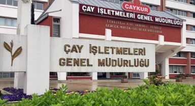 ÇAYKUR 2. Sürgün Yaş Çay Alımlarına 8 Temmuz Çarşamba Günü Başlayacak