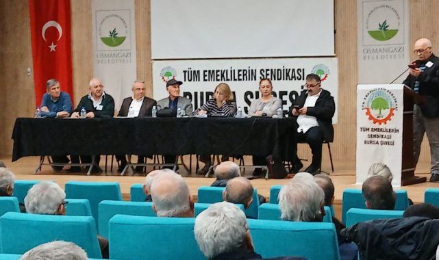 Danışma Toplantısı, Görüş Ve Öneriler