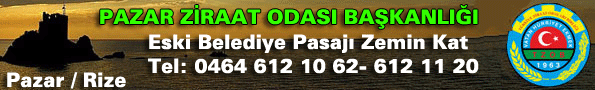 Reklam