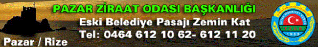 Reklam