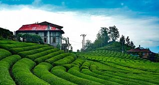 BİZİM KÖY - ÇİFTÇİ TV