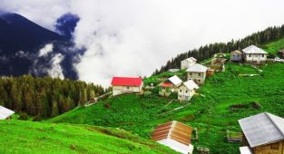 Lazcayı Yaşatalım